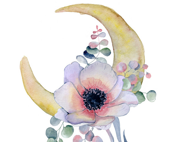 彩色清新装饰花朵素材
