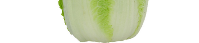 白菜涂鸦彩绘矢量图素材