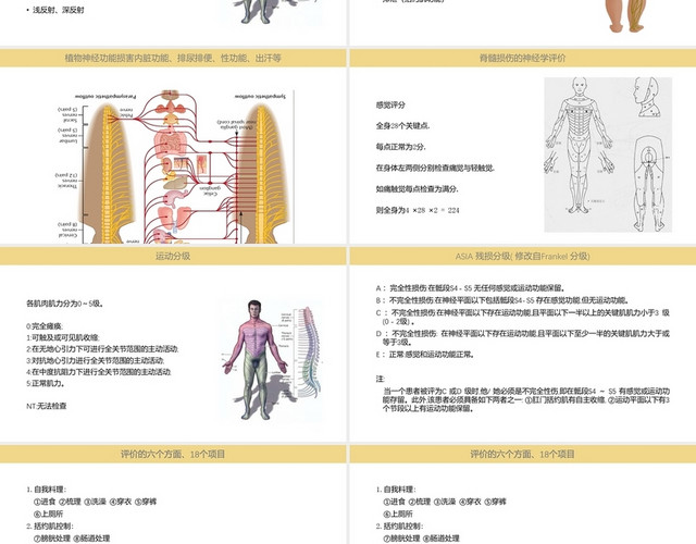 医疗医学讲课脊柱脊髓损伤的临床康复PPT模板