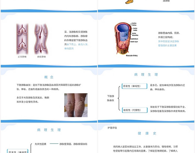 蓝色卡通风护理质控工作汇报周围血管疾病病人的护理PPT模板