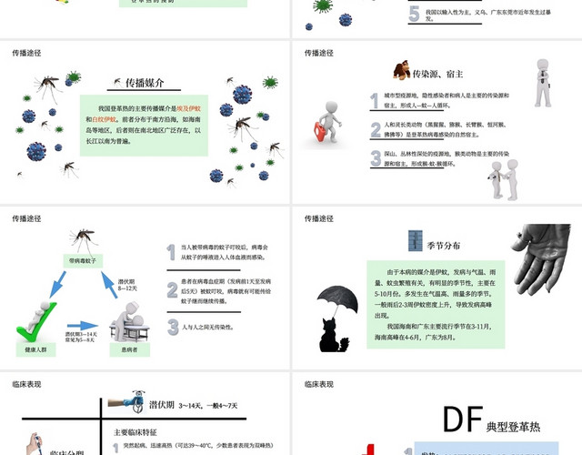 白色简约风小清新风格登革热的预防PPT模板