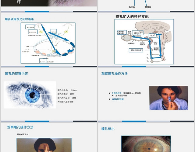 商务风医学风蓝灰色风医学课件PPT模板