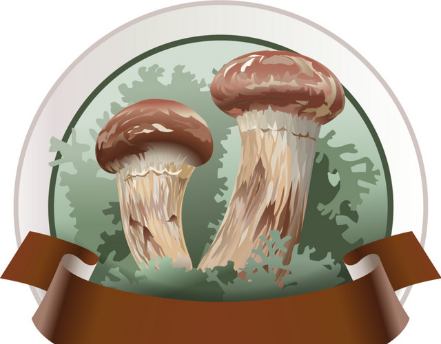 蘑菇外框标题框素材