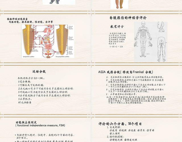 白色清新风课件脊髓损伤PPT模板