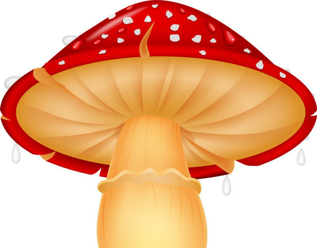红色斑点蘑菇卡通素材