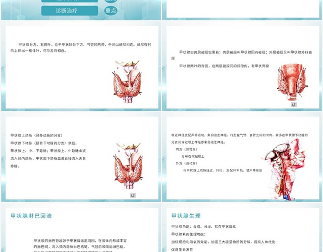 蓝色简约风甲状腺甲状腺癌病人术后护理PPT模板