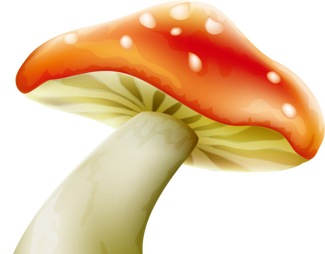红色斑点蘑菇素材