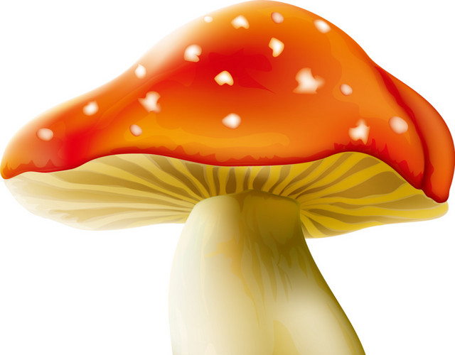 红色斑点蘑菇卡通素材
