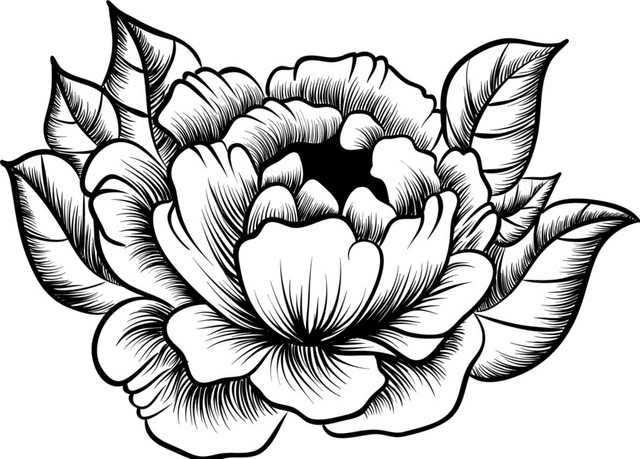 花纹矢量素材