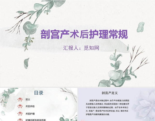 紫色剖宫产剖宫产护理查房PPT