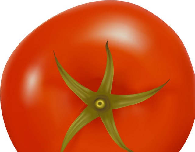 蔬菜西红柿矢量图