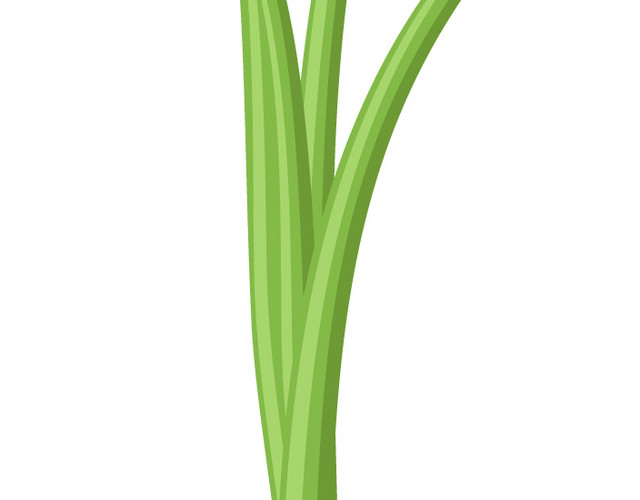 蔬菜大蒜矢量元素