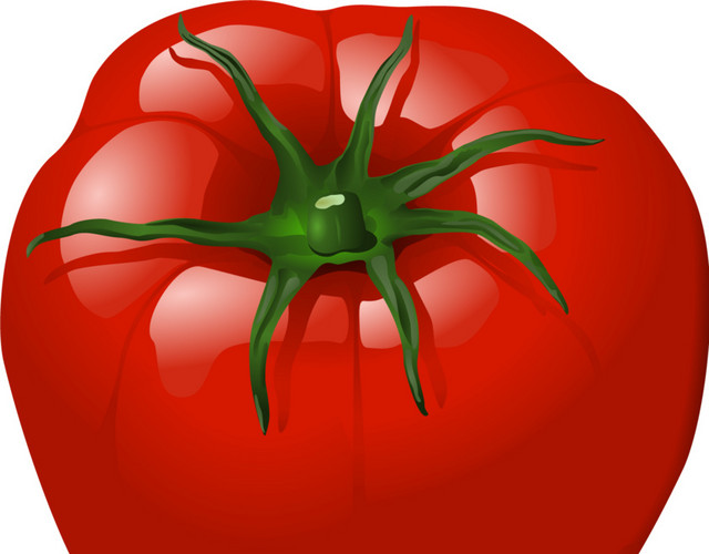 蔬菜西红柿矢量图