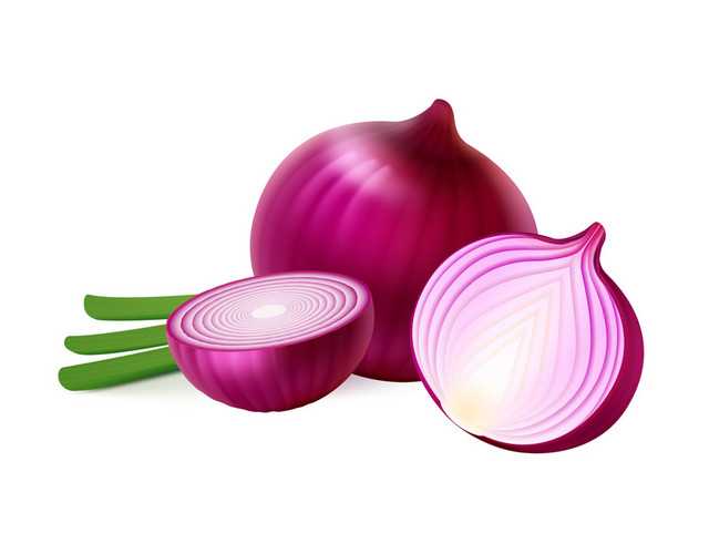 蔬菜洋葱矢量元素