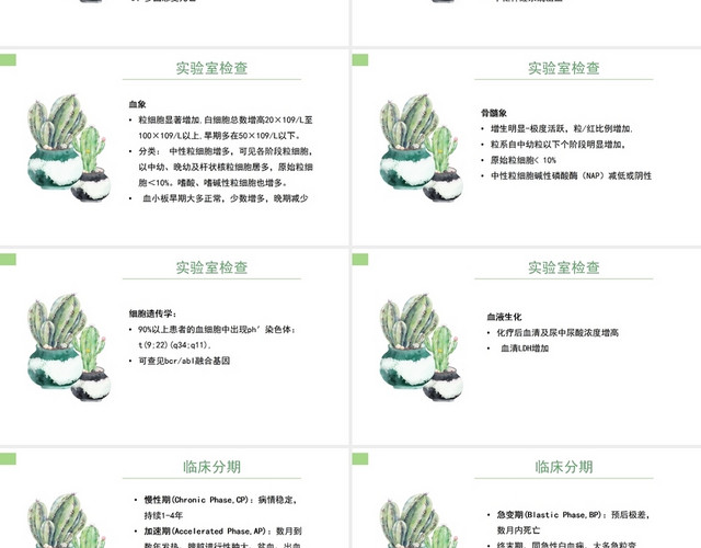 白色背景简约风慢性粒细胞性白血病PPT模板