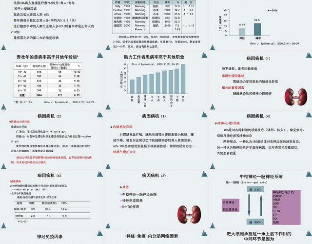 蓝色肠易激综合征护理查房