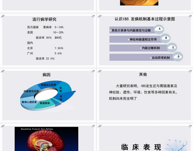 白色背景肠易激综合征护理查房