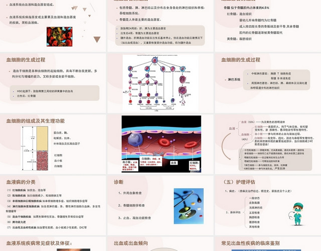 粉色简约风血液系统病人常见症状体征的护理PPT模板