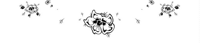 黑白清新花藤藤蔓花边边框