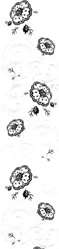 黑白剪影清新花藤藤蔓花边边框