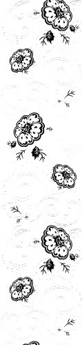 黑白剪影清新花藤藤蔓花边边框