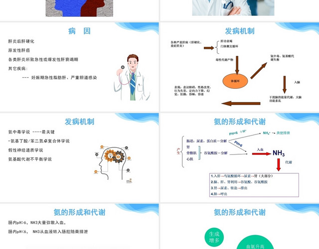 蓝色肝性脑病护理查房