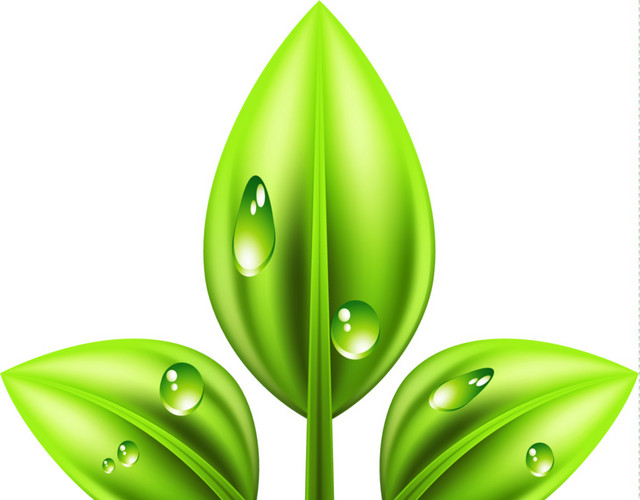 绿色植物矢量图
