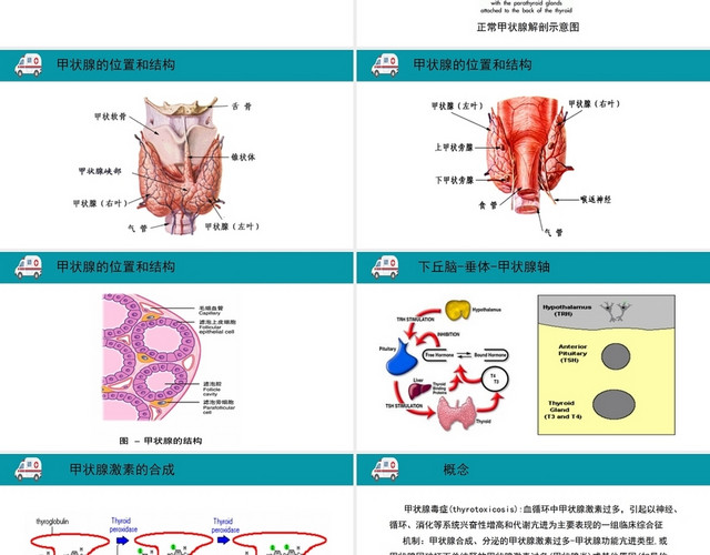 蓝色简约风甲状腺功能亢进症医疗护理PPT模板