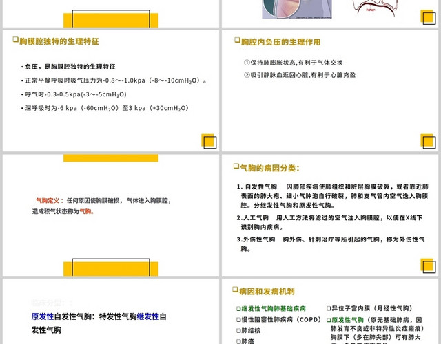 黄色气胸护理查房护理查房气胸患者