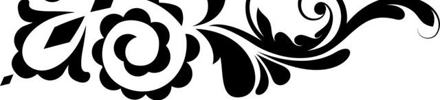 矢量图黑色花边底纹边框
