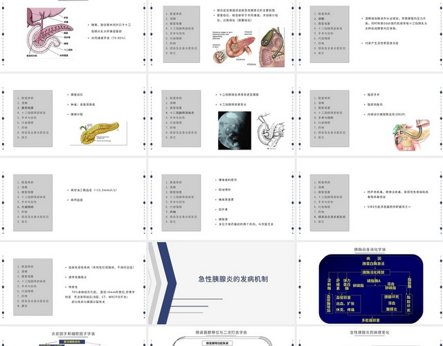 蓝色急性胰腺炎护理查房