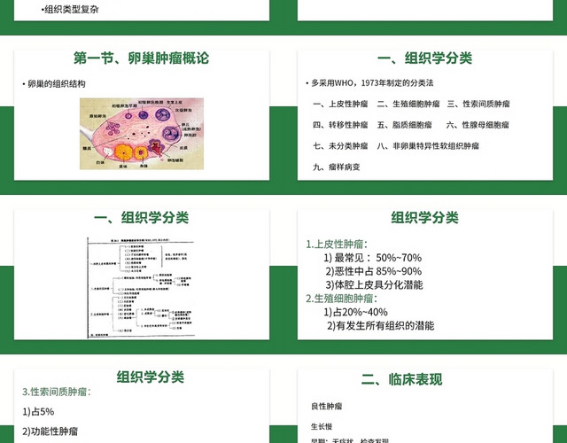 绿色卵巢肿瘤护理查房卵巢癌护理查房