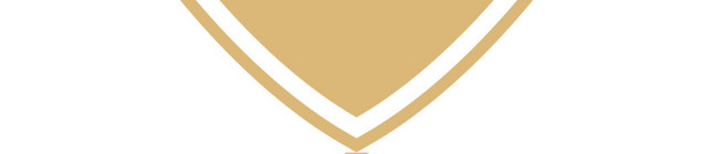 皇冠盾牌图框