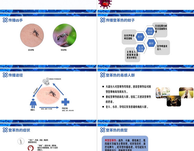 蓝色简约安全教育登革热病毒主题PPT模板