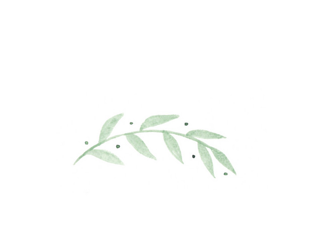 绿色植物枝条叶子素材