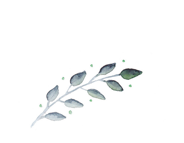 墨痕手绘叶子植物植被素材