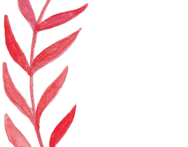红色墨痕手绘叶子植物植被素材