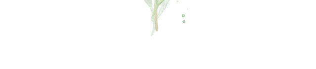 红色花瓣一束植物花素材