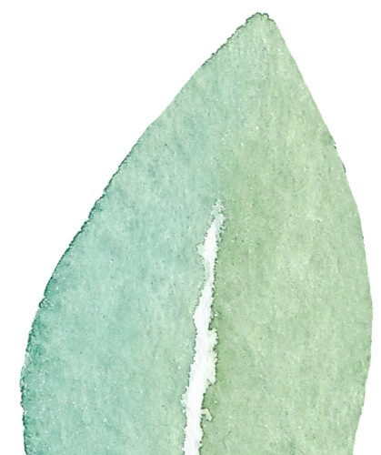彩色墨痕手绘叶子植物素材