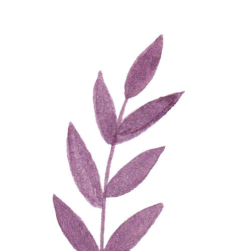 紫色墨痕手绘叶子植物植被素材