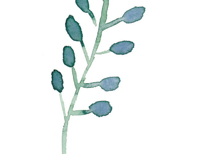 墨痕手绘叶子植物花骨朵素材