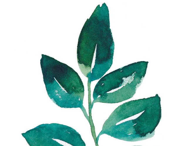 绿色手绘叶子墨痕植被素材