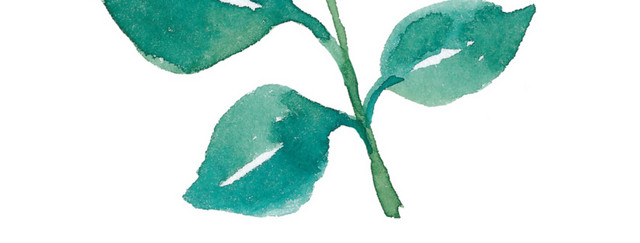 绿色手绘叶子墨痕植被素材