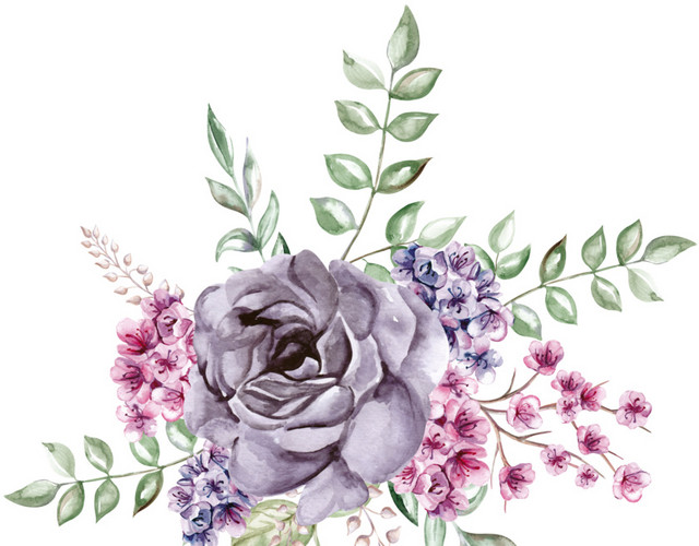 手绘花卉图片