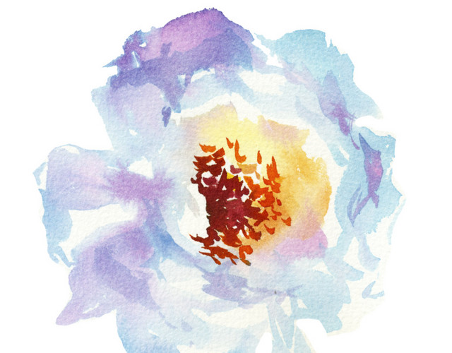 唯美手绘花朵