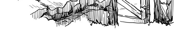 动物素描绘画