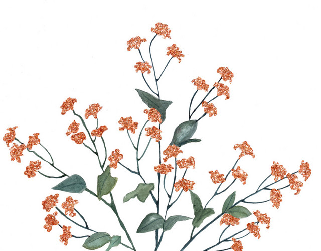 桂花花枝素材