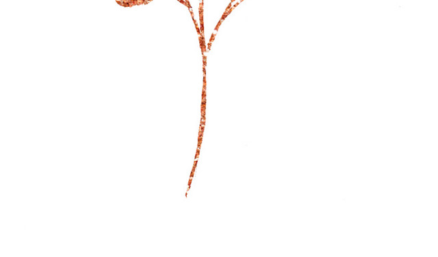 金粉花枝素材
