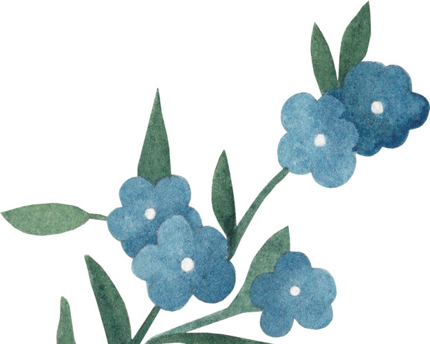 清新深蓝色花朵深绿色叶子矢量元素