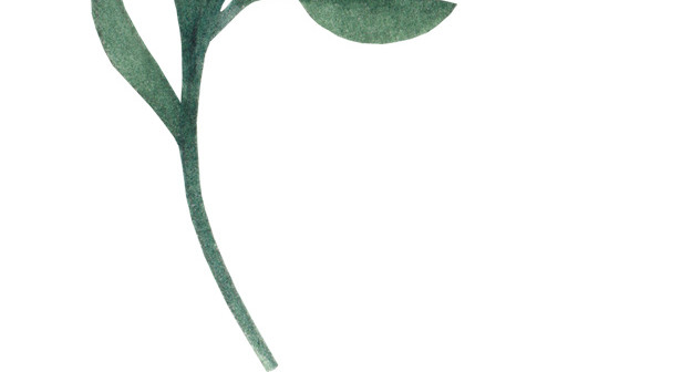 清新深蓝色花朵深绿色叶子矢量元素